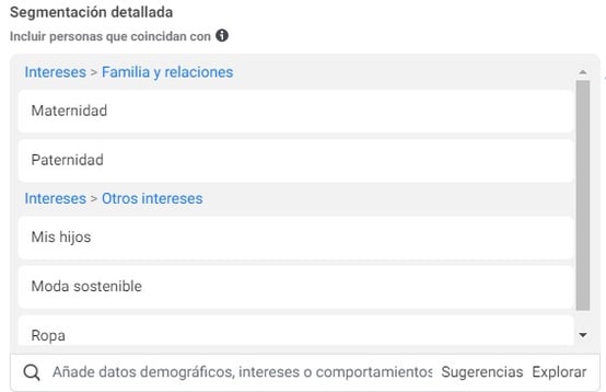 Facebook Ads intereses público objetivo